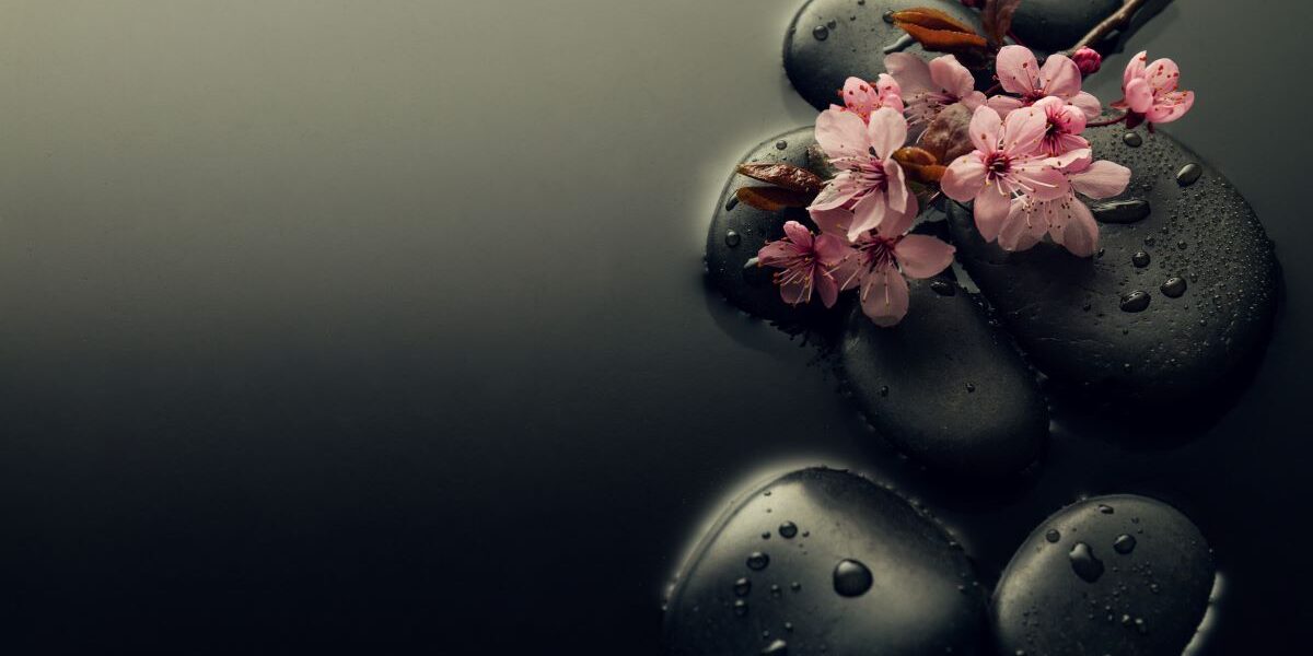 beautiful-pink-spa-flowers-spa-hot-stones-water-wet-background-side-composition-copy-space-spa-concept-dark-background beautiful-pink-spa-flowers-spa-hot-stones-water-wet-background-side-composition-copy-space-spa-concept-dark-background
